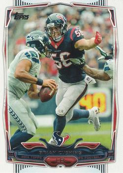 Brian Cushing