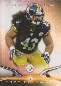 Troy Polamalu