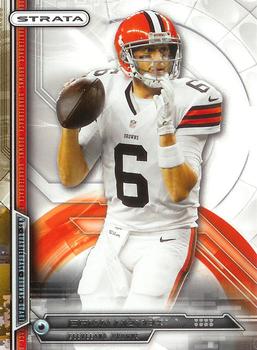 Brian Hoyer