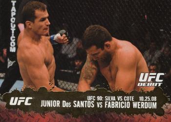 Junior Dos Santos / Fabricio Werdum