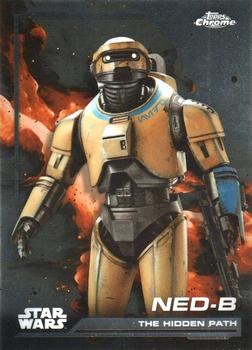 NED-B