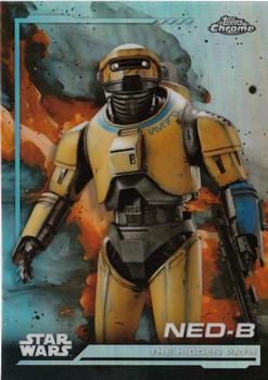 NED-B