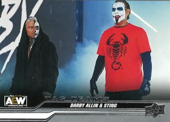 Darby Allin / Sting