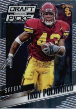 Troy Polamalu