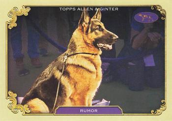 Rumor