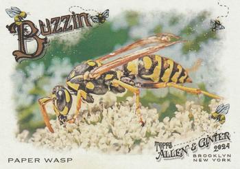 Paper Wasp