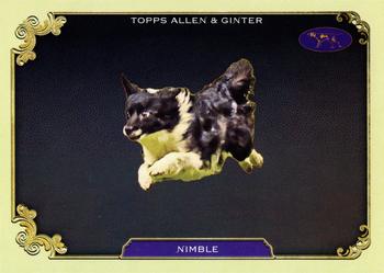 Nimble