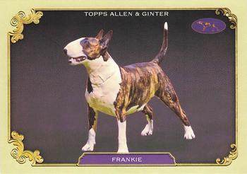 Frankie