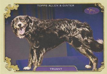 Truant