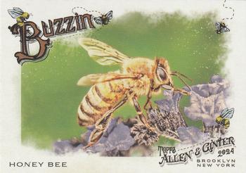 Honey Bee