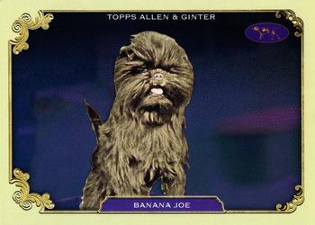 Banana Joe