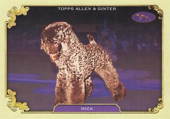Mick