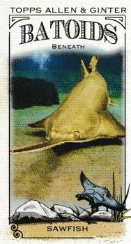 Sawfish