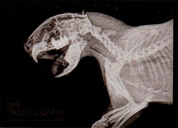 Cape Porcupine