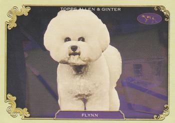 Flynn