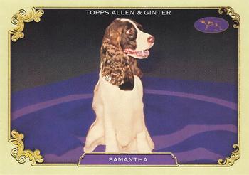 Samantha