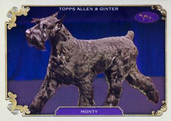 Monty