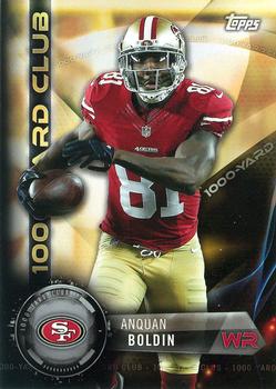 Anquan Boldin