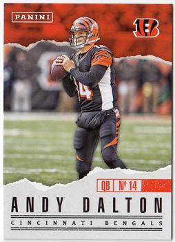 Andy Dalton
