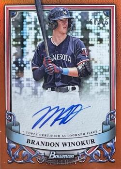 Brandon Winokur