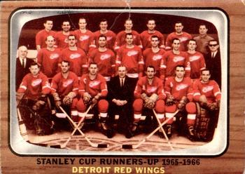 Detroit Red Wings Team