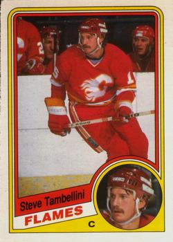 Steve Tambellini