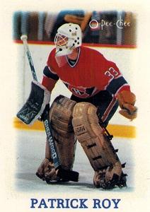 #33 Patrick Roy