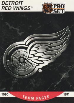 Detroit Red Wings Logo