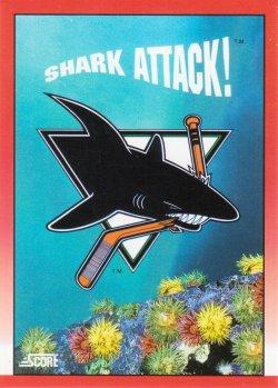 San Jose Sharks
