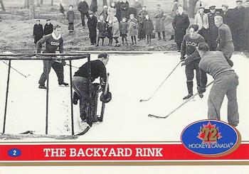 The Backyard Rink / More Months a Year...