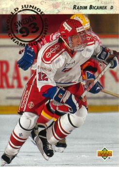 Radim Bicanek