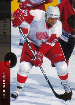 Tim Taylor