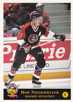 Rob Niedermayer