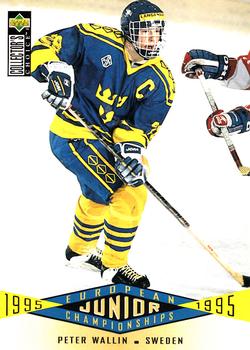 Peter Wallin