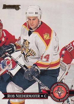 Rob Niedermayer