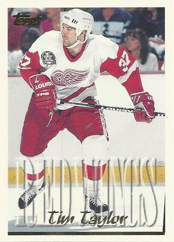 Tim Taylor