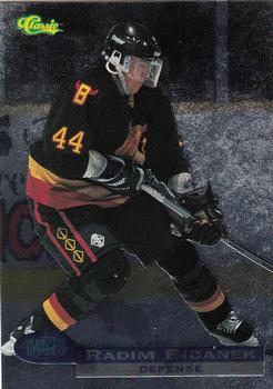 Radim Bicanek