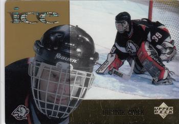 Dominik Hasek