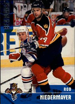 Rob Niedermayer
