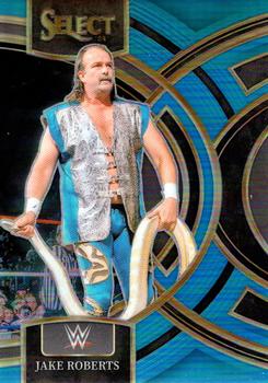 Jake Roberts