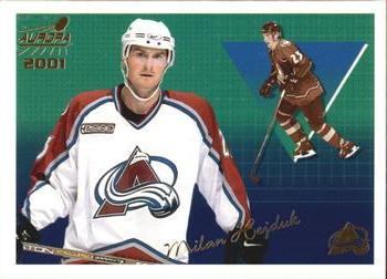 Milan Hejduk