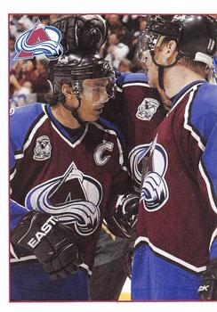 Colorado Avalanche Puzzle Piece
