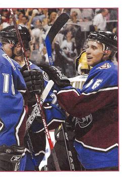 Colorado Avalanche Puzzle Piece