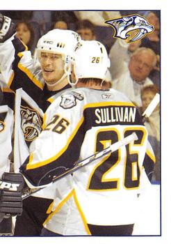 Nashville Predators Puzzle Piece