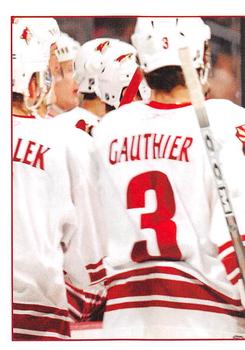 Phoenix Coyotes Puzzle Piece
