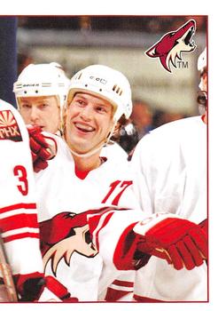 Phoenix Coyotes Puzzle Piece