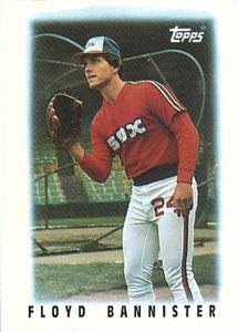 Floyd Bannister