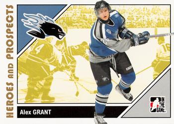 Alex Grant