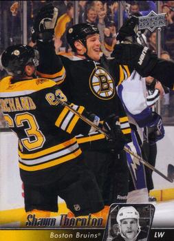Shawn Thornton