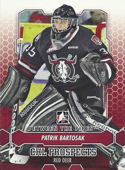 Patrik Bartosak